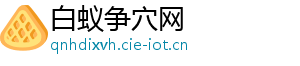 白蚁争穴网